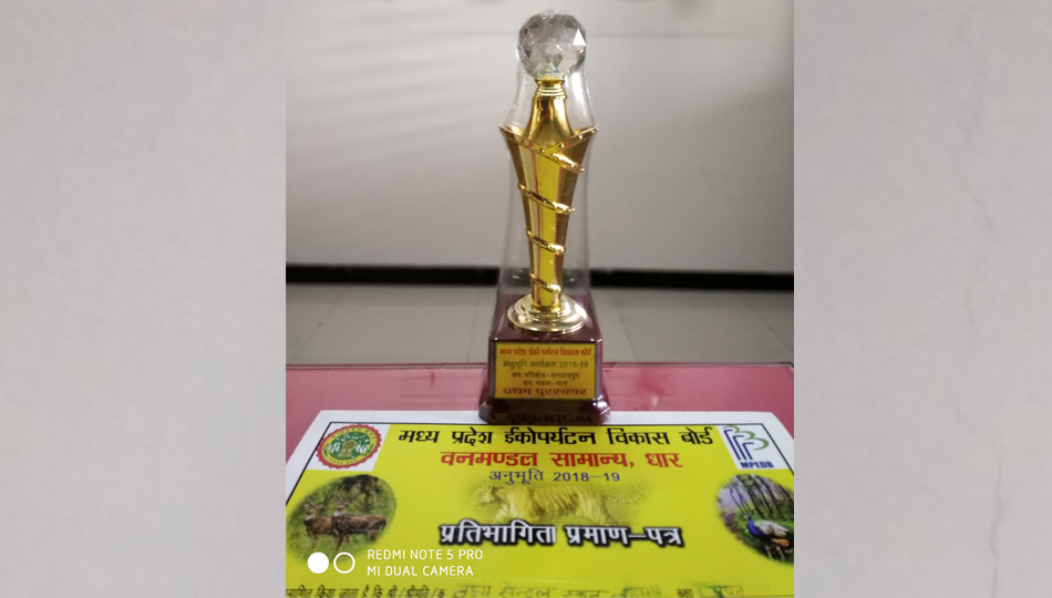 Winner Trophy